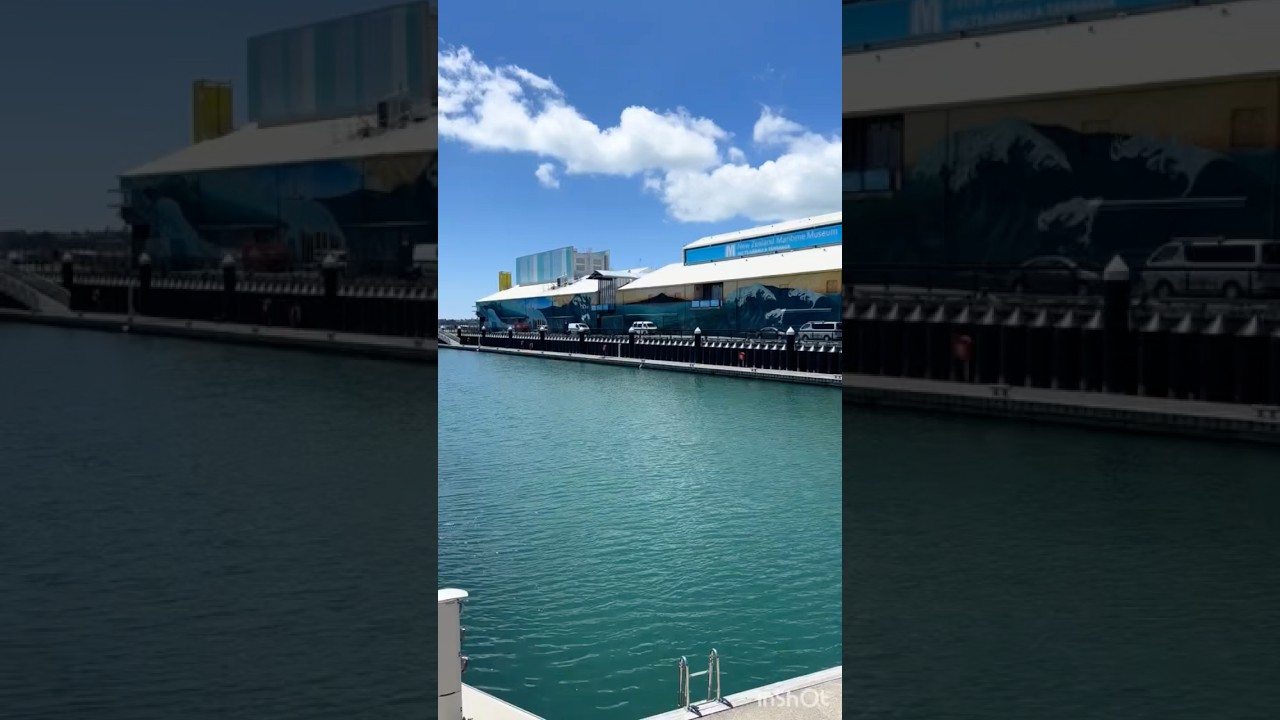 YouTube Short thumbnail