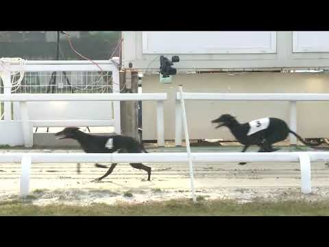 2022.12.17. 06. futam - Mester Tréner Díj