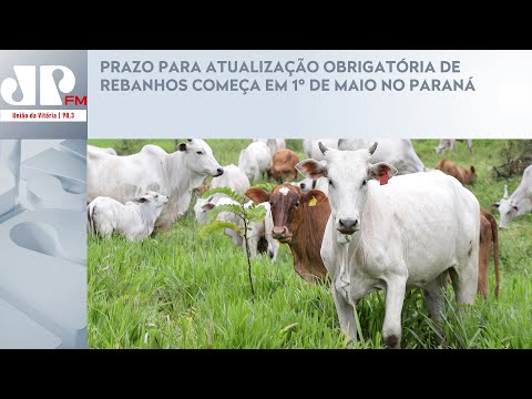 PRAZO PARA ATUALIZAÇÃO OBRIGATÓRIA DE REBANHOS COMEÇA EM 1º DE MAIO NO PARANÁ