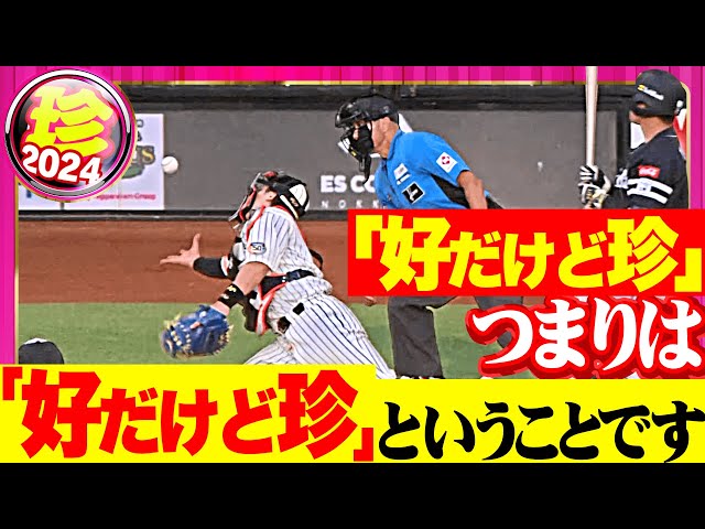 【好だけど】「好だけど珍」つまりは「好だけど珍」【珍】