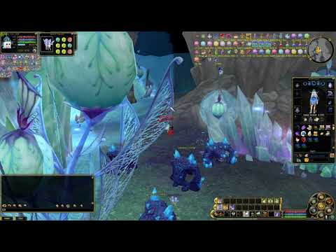 Insanity FLYFF | Fast Cove | 2021 | Harle