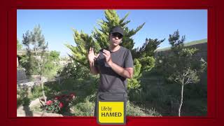 چطور فعل درست رو انتخاب کنم؟