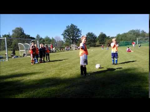 freistoßschreck lepi-moos