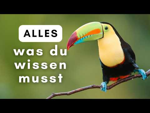 Avoiding typical beginner mistakes 🇨🇷 Costa Rica Travel Guide