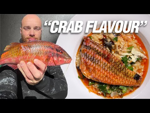Red Mullet Risotto | Spearfishing Catch & Cook