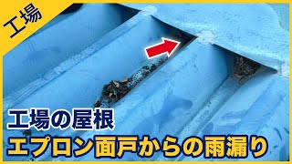 【塗装失敗・雨漏り動画】工場屋根エプロン面戸からの雨漏り