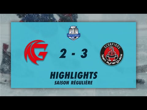 Gothiques d'Amiens vs Scorpions de Mulhouse - Highlights - Synerglace Ligue Magnus 2022/23