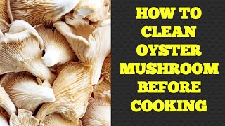 How to Clean Oyster Mushroom Before Cooking