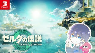 1日目★ゼルダの伝説をのんびりやっていく【ティアーズオブザキングダム】