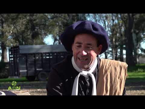 PROGRAMA ESTRENO N° 188 | AMILCAR CRUZ UNANUE - FRANCISCO ALBANI - DANIEL LAVEZZARI