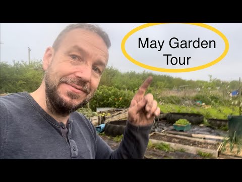 Plot Twist: May Garden Tour of Our New Permaculture Space