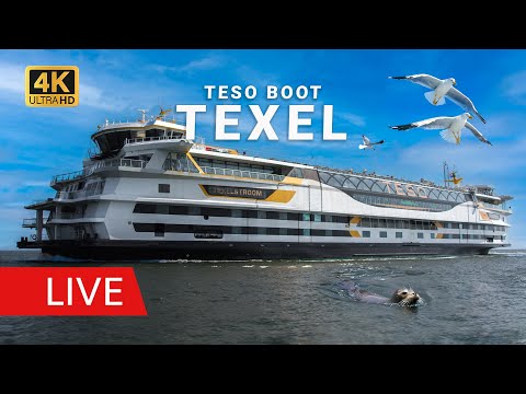 Live Webcam Den Helder: TESO Boot Texel | Haven & Veerboot (Livecam Texel Fähre)