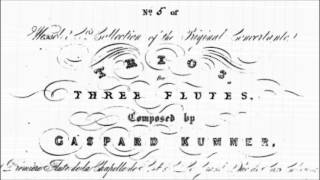 Kaspar Kummer - Trio Brillante in D Major for Three Flutes, Op. 58: Mvt. 3