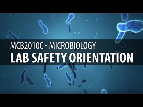 MCB2010C--微生物學。實驗室安全指導 (MCB2010C - Microbiology: Lab Safety Orientation)