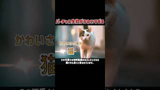 あまりにもかわいい肯定ちゃん。#varkshorts #vtuber