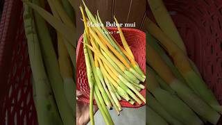 Download lagu Muito bubar recipe🌱❤️#muito #tripurifood #lovecooking #localfood #kokboroksong #flowers #tripura mp3 Download lagu Muito bubar recipe🌱❤️#muito #tripurifood #lovecooking #localfood #kokboroksong #flowers #tripura mp3