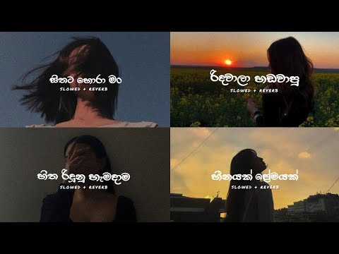 Rahal Alwis Songs Collection (slowed + reverb)