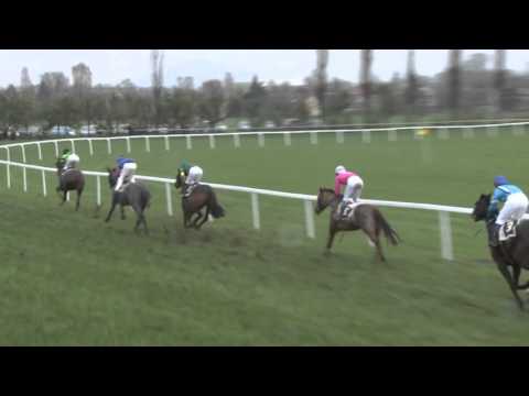 MI, 16. 4. 2016, 2. dostih - Cena firmy KM PRONA