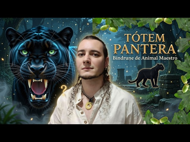 Vídeo relacionado con Pantera acosadora Nocturna para Amantes de los Animales misteriosos Sudadera