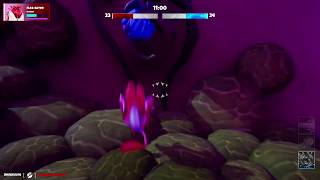 Flea Madness, moments from testing stage#4