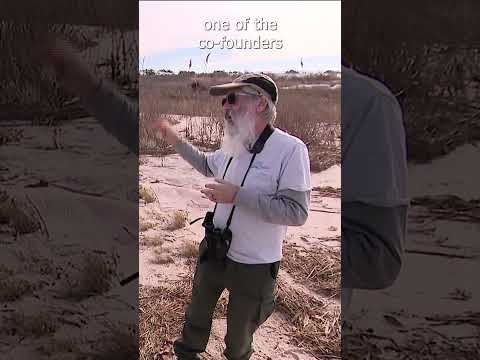 Where can we see seals on Long Island? - East End Full Episode Now Live | News 12 Originals