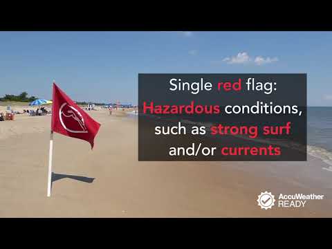 Look out for these important flags on your next beach trip