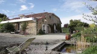 Julian le Play über ZUGVÖGEL | Mini Doku