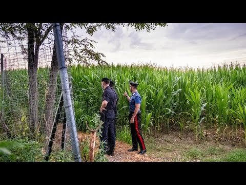 Youtube video image