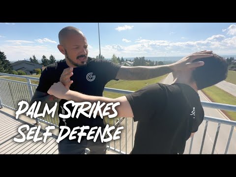 Palm Strikes to the Face for Self Defense