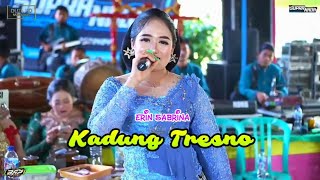 Download lagu Kadung Tresno - Erin Sabrina - Supra Nada - Duta HD - BAP Audio mp3