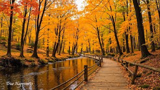 Beautiful Relaxing Music 🍁 Stop Overthinking, Stress Relief Music With Autumn Melodies #2