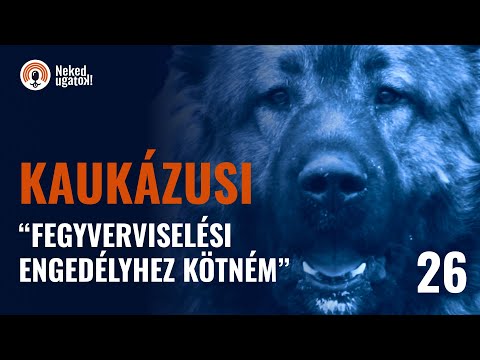 Az első hiba az, hogy ha megveszed. | Kaukázusi fajtalebeszélő | #26