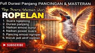 Download lagu TOP TERAPI !! TRUCUKAN GACOR ROPEL PANJANG, CEPAT MEMANCING TRUCUK BUNYI SEKETIKA GACOR mp3