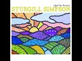 Sturgill Simpson - Hero