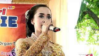 Download lagu SINOM MIJIL KETHOPRAK NDARI SB CAMPURSARI LARAS ADJIE LIVE GUNUNG PUTRI BOGOR 12 JUNI 2021 mp3