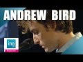 Andrew Bird "Measuring cups" (live officiel) | Archive INA