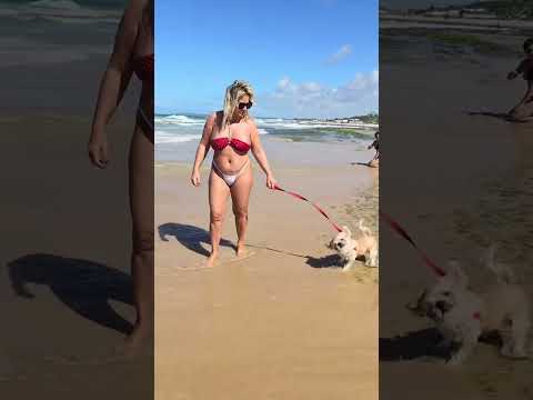 Praia 🌴 🏖 de Canguaretama litoral do Rio Grande do Norte