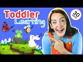 Learn To Talk | Animals, Songs, Patterns & Colours | Toddler Learning Video | Baby Signs & Phonics