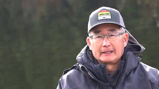 Muškařská šňůra Scientific Anglers Sonar Stillwater Clear Camo WF-5-I