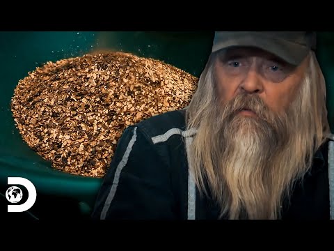 Pesagens de ouro que valem milhares de dólares | Febre do Ouro | Discovery Brasil