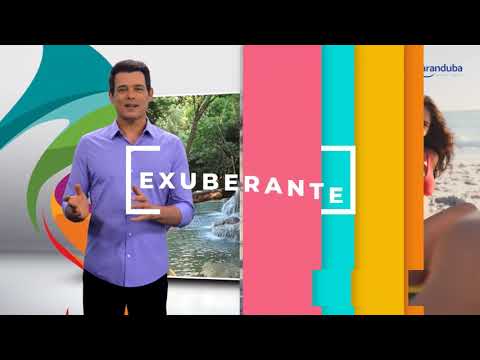 MARANDUBA RESORT Apartamentos com 2  e 3 dormitórios, 10 plantas diferentes na praia do Sapê em Ubatuba