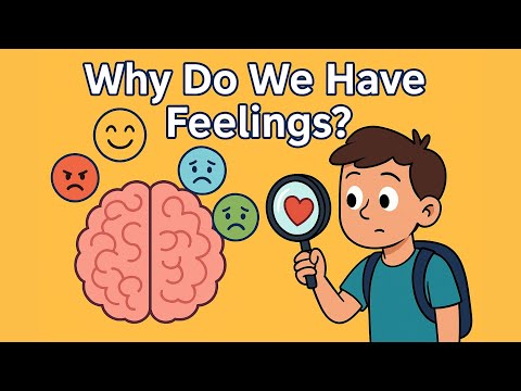 G5.1.1 Understanding Our Emotions