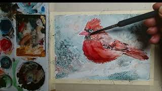 Paint a Beautiful Red Cardinal | Watercolor Painting for All Levels!