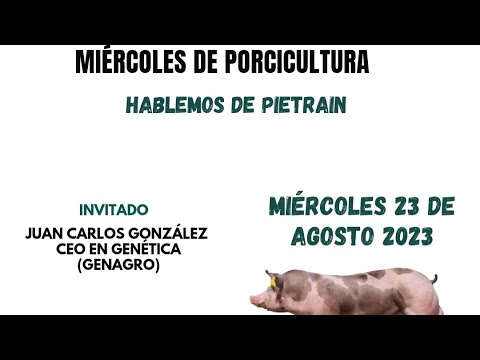 Raza Porcina Pietrain