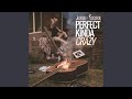 Perfect Kinda Crazy