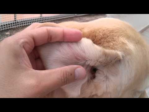 Schumi recuperado