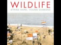 Wildlife - Matches 