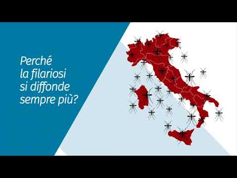 Il sangue da dorso passa al bambino a vermi I vermi a bambini che trattare