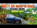 Bangalore To Ooty Road Trip 36 Hairpin Bends Masinagudi Bandipur Wildlife Scenic Drive