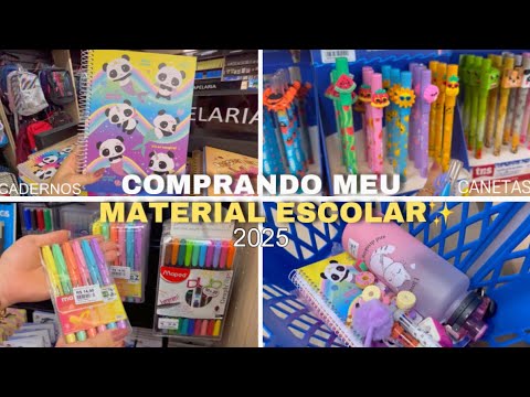 Comprando meu material escolar 2025- FOFO na papelaria Leitura #materialescolar